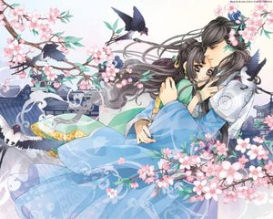 深入了解 含羞草研究所 官网